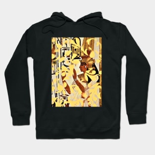 Egyptian Old and New Hoodie